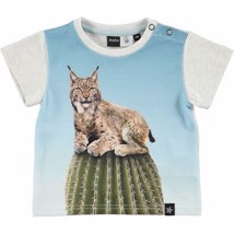 Molo - T-shirt Eddie Cactus Cat