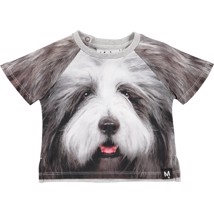 Molo T-Shirt Even Hairy Dog