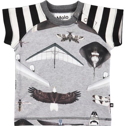 Molo T-Shirt Egon Planes and Birds