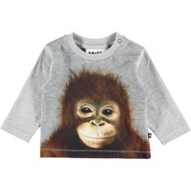 Molo - Bluse Enovan Orangutan