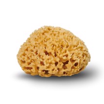 Cocoon Company Honeycomb svamp 10-11 cm